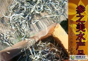 煙臺養馬島馬步魚上市 原味好魚，鮮達四方